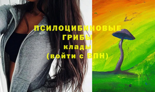 винт Алзамай