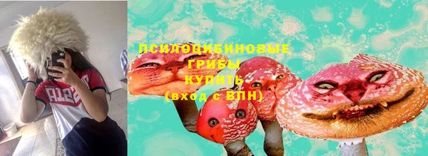 винт Алзамай