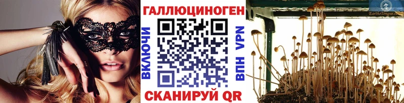 Псилоцибиновые грибы прущие грибы  Анапа 